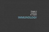 Chapter 4 Cytokines Dr. Capers. Kuby IMMUNOLOGY Sixth Edition Chapter 12 Cytokines Copyright © 2007 by W. H. Freeman and Company Kindt Goldsby Osborne.