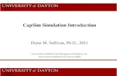 CapSim Simulation Introduction Diane M. Sullivan, Ph.D., 2011 Some Sections Modified from Management Simulations, Inc. Some Sections Modified from Gentner.