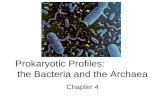 Prokaryotic Profiles: the Bacteria and the Archaea Chapter 4.