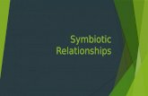 Symbiotic Relationships.  SYMBIOSIS refers to the relationship between organisms of different species that show an intimate encounter with each other.