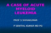 A CASE OF ACUTE MYELOID LEUKEMIA PROF S SHIVAKUMAR P SENTHIL KUMAR MD PG P SENTHIL KUMAR MD PG.