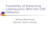 Feasibility of Detecting Leptoquarks With the CDF Detector Althea Moorhead Mentor: Darin Acosta.