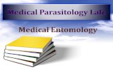 Medical Entomology Entomology: the science that concerned in the study of insects. There are many of medically important insects, that cause disease to.