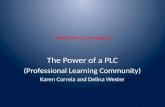 Teaching is Contagious The Power of a PLC (Professional Learning Community) Karen Correia and Delina Wester.