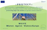 W A V E Women Against Violence Europe Regina Webhofer :: P R O T E C T :: good practice in preventing serious violence, attempted homicides, including.