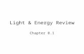 Light & Energy Review Chapter 8.1. ATP is another name for a.Photosynthesis b.Energy c.Fat d.cells.