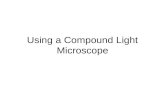 Using a Compound Light Microscope. Part A - Parts.