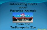 Contents: The Plains Elephants and Baboons Rhinos, Lions, and Giraffes Pop Quiz The Forest Tigers and Bears Gibbons, Otters and Lemurs Pop Quiz The
