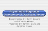 Asymmetric Sequence Divergence of Duplicate Genes Experimented By: Gavin Conant and Andreas Wagner Presented By: Jennifer Case and Jonathan Hobbs.