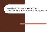 Growth & Development of the Respiratory & Cardiovascular Systems.