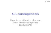 Gluconeogenesis How to synthesize glucose from noncarbohydrate precursors? p.543.