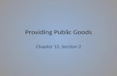 Providing Public Goods Chapter 12, Section 2. Providing Public Goods Federal, State, and Local governments frequently share the responsibility of funding.