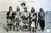 Shoshone Tribe! By : Joseph Table of contents 1.Tribe traditions 2.What did they eat? OR DID THEY EAT. 3.Tribe homes. 4.Tribe cloths. 5.Famous members.