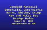 Dredged Material Beneficial Uses/Alafia Banks, Whiskey Stump Key and McKay Bay Dredge Holes August 12, 2004 Presentation to ABM.