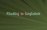 Bangladesh is a country in south-east Asia that suffers annual flooding It is probably country affected by the most of floods The floodwaters bring alluvial.
