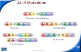 Slide 1 of 24 Copyright Pearson Prentice Hall 12-4 Mutations 12–4 Mutations.