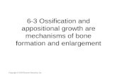 Copyright © 2010 Pearson Education, Inc. 6-3 Ossification and appositional growth are mechanisms of bone formation and enlargement.
