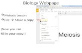 Biology Webpage  Meiosis Lesson  File  Make a copy (Now you can fill in your copy!)