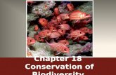 Chapter 18 Conservation of Biodiversity. Extinction is Forever Extinction (aka biological extinction) – A process in which an entire species ceases to.
