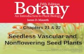Chapters 21 & 22 Seedless Vascular and Nonflowering Seed Plants.