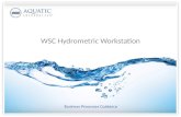 WSC Hydrometric Workstation Business Processes Guidance.
