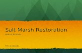 Salt Marsh Restoration Role of Animals Felicia Woods.