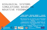 BIOLOGICAL SYSTEMS SIMULATIONS BASED ON NEGATIVE FEEDBACK EUROPEAN UNION EUROPEAN REGIONAL DEVELOPMENT FUND The work was co-funded by the European Regional.
