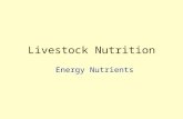 Livestock Nutrition Energy Nutrients Objectives  Define terms of associated with energy.  Describe the energy nutrients.  List sources of energy nutrients.