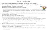 Renal Physiology Does your GI tract absorb into blood all nutrients? ions? water? 1.Now imagine that you drink water: 1 glass, 2, 3, 4, 5 glasses (1L).