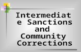 Intermediate Sanctions and Community Corrections.