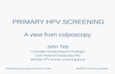 Sheffield Gynaecological Cancer CentreSheffield Teaching Hospitals PRIMARY HPV SCREENING A view from colposcopy John Tidy Consultant Gynaecological Oncologist.