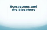Ecosystems and the Biosphere. Energy Transfer All organisms need energy to carry out essential functions – growth, movement, maintenance, repair, and.