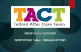 REDIFINING RECOVERY SUPPORTING SMALL ORGANISATIONS.