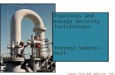 Pipelines and Energy Security Institutions Theresa Sabonis-Helf Image from DOE website: SPR Pipelines.