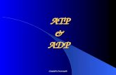 ATP & ADP Copyright Cmassengale. What Is ATP? Energy used by all Cells Adenosine Triphosphate Copyright Cmassengale.