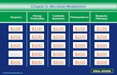 © 2013 Pearson Education, Inc. Chapter 5: Microbial Metabolism $100 $200 $300 $400 $500 $100$100$100 $200 $300 $400 $500 Enzymes Energy Production Catabolic.