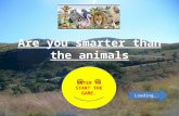 Are you smarter than the animals ENTER TO START THE GAME. Loading….