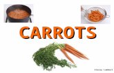 CARROTS Stacey Lambert. Description Orange, white, yellow, red, or purple. Thick, fleshy, deeply colored root. Grow underground. Feathery leaves that.