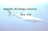 Aquatic Ecology Course Zoo 374. FISHES Main Characters:- All fish live in water Have gills Have fins (rays-spines) Scales (sometimes not exist) Finfish.