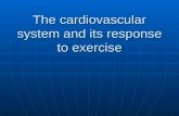 The cardiovascular system and its response to exercise.