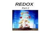 REDOX Part 2. ROTTING! RUST! COMBUSTION! This is a redox process by which YOUR BODY STORES ENERGY.