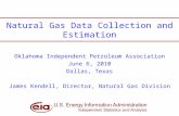 Natural Gas Data Collection and Estimation Oklahoma Independent Petroleum Association June 6, 2010 Dallas, Texas James Kendell, Director, Natural Gas Division.