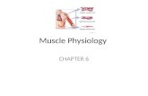Muscle Physiology CHAPTER 6. Flashcard Warm-up Three Types of Muscle Tissue (Use your book to describe each type and their location) Skeletal- Cardiac-