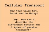Cellular Transport How Your Cells Eat, Drink and be Merry! EQ: How can I describe the difference between the 3 types of passive transport?