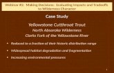 Case Study Yellowstone Cutthroat Trout North Absaroka Wilderness Clarks Fork of the Yellowstone River Reduced to a fraction of their historic distribution.