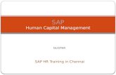 SAP HR Training in Chennai SAP Human Capital Management GLISTER.
