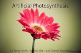 Artificial Photosynthesis By Rorey Smith, Kenton Kiser, and Tanner Anderson ohtoptens.com.