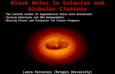 Black Holes in Galaxies and Globular Clusters  The Current Status of Supermassive Black Hole Detections  Scaling Relations and SBH Demographics  Missing.