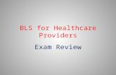 BLS for Healthcare Providers Exam Review. When should you initially ensure that the scene is safe? A.After I activate the emergency response system B.After.