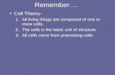 Remember…. Cell Theory- 1.All living things are composed of one or more cells. 2.The cells is the basic unit of structure. 3.All cells come from preexisting.